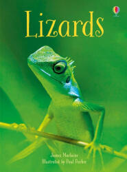 Lizards - James Maclaine (ISBN: 9781474950459)