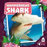 Hammerhead Shark - Teeth to Tail (ISBN: 9781786376121)