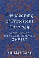 The Meaning of Protestant Theology: Luther Augustine and the Gospel That Gives Us Christ (ISBN: 9780801039454)