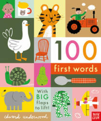100 First Words - Edward Underwood (ISBN: 9781788004893)