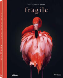 Fragile - Pedro Jarque Krebs (ISBN: 9783961712229)