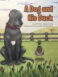 A Dog and His Duck (ISBN: 9781644161746)