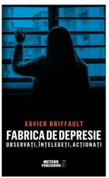 Fabrica de depresie: observați, înțelegeți, acționați (ISBN: 9786069101216)