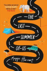 Last summer of us (ISBN: 9781474955447)