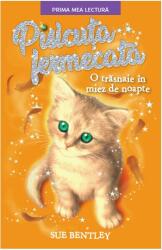 Pisicuta fermecata. O trasnaie in miez de noapte - Sue Bentley (ISBN: 9786063338908)
