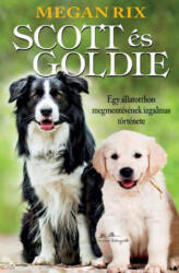 Scott és Goldie (2019)