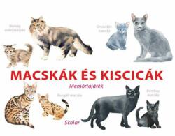 Macskák és kiscicák (ISBN: 5999887153082)