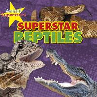 Reptile Superstars (ISBN: 9781474765268)