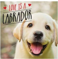 Love is a Labrador - Charlie Ellis (ISBN: 9781786859822)