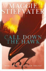 Call Down the Hawk: The Dreamer Trilogy #1 - Maggie Stiefvater (ISBN: 9781407194462)