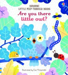 Are you there little Owl? (ISBN: 9781474966863)