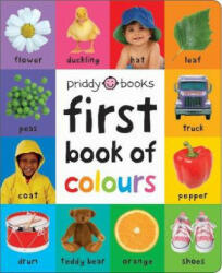 First Book of Colours - PRIDDY ROGER (ISBN: 9781783418954)