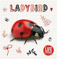 Ladybird (ISBN: 9781786377340)
