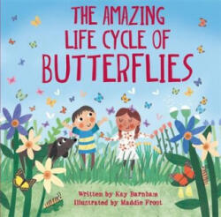 Look and Wonder: The Amazing Life Cycle of Butterflies (ISBN: 9780750299565)