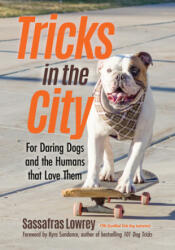 Tricks in the City - Sassafras Lowrey (ISBN: 9781642500394)