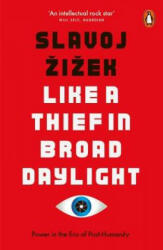 Like A Thief In Broad Daylight - Slavoj Žižek (ISBN: 9780141989198)