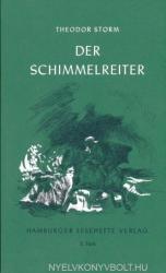 Der Schimmelreiter - Theodor Storm (ISBN: 9783872910011)