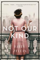 Not Our Kind (ISBN: 9780062844248)