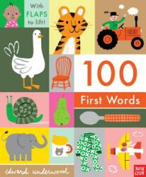 100 First Words - Nosy Crow, Edward Underwood (ISBN: 9781536208221)