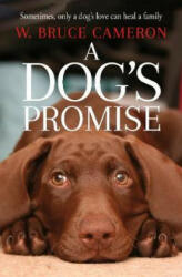 A DOG'S PROMISE (ISBN: 9781529010084)