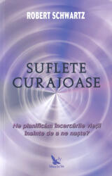 Suflete curajoase. Ne planificam incercarile vietii, inainte de a ne naste? - Robert Schwartz (ISBN: 9786066392839)
