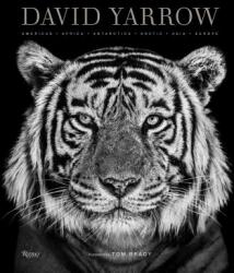 David Yarrow Photography - David Yarrow, Tom Brady (ISBN: 9780847864775)