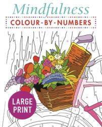 Mindfulness Colour-by-Numbers Large Print - PUBLISHING ARCTURUS (ISBN: 9781789500486)
