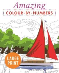 Amazing Colour-by-Numbers Large Print - PUBLISHING ARCTURUS (ISBN: 9781789500509)