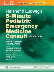 Fleisher & Ludwig's 5-Minute Pediatric Emergency Medicine Consult - Robert J. Hoffman, Vincent J. Wang (ISBN: 9781496394545)