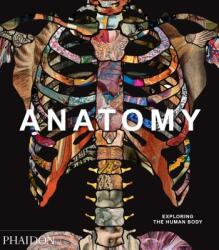 Anatomy: Exploring the Human Body (ISBN: 9780714879888)