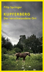 Kupferberg - Filip Springer, Lisa Palmes (ISBN: 9783552059085)