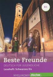 Beste Freunde B1 Schwarzes Eis (ISBN: 9783190810536)