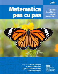 Matematica pas cu pas (ISBN: 9786067936513)
