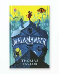 Malamander (ISBN: 9786067936605)