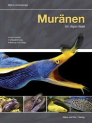 Muränen im Aquarium - Marco Lichtenberger (ISBN: 9783866592117)