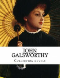 John Galsworthy, Collection novels - John Galsworthy (ISBN: 9781500478094)