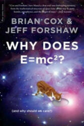 Why Does E=mc2? - Brian Cox (2010)