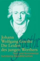 Die Leiden des jungen Werthers - Johann W. von Goethe, Wilhelm Große (2011)