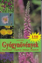 Szász Béla - Attila nagykirály - A hunok története (2009)