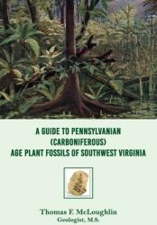 A Guide to Pennsylvanian (ISBN: 9781949981803)