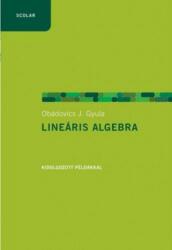 Lineáris algebra példákkal (2010)