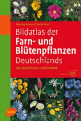 Bildatlas der Farn- und Blütenpflanzen Deutschlands - Henning Haeupler, Thomas Muer (2007)