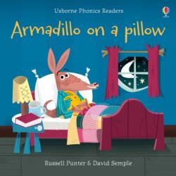Tatou pe o pernă (ISBN: 9781474959476)