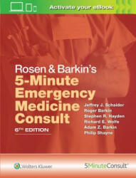Rosen & Barkin's 5-Minute Emergency Medicine Consult - Jeffrey J. Schaider, Stephen R. Hayden, Richard E. Wolfe (ISBN: 9781496392954)