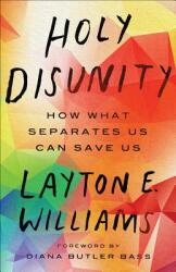 Holy Disunity: How What Separates Us Can Save Us (ISBN: 9780664265663)