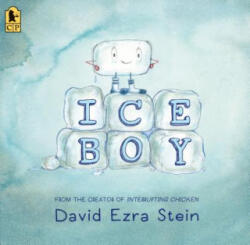 Ice Boy - David Ezra Stein, David Ezra Stein (ISBN: 9781536208931)