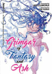 Grimgar of Fantasy and Ash (Light Novel) Vol. 11 - Ao Jyumonji, Eiri Shirai (ISBN: 9781642757040)