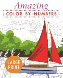 Amazing Color by Numbers Large Print (ISBN: 9781789500516)