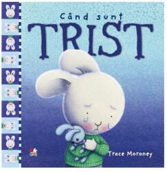 Cand sunt trist - Trace Moroney (ISBN: 9786063341038)