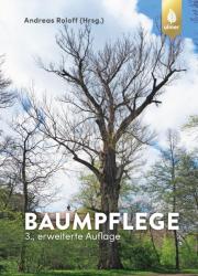 Baumpflege - Andreas Roloff (ISBN: 9783818607371)